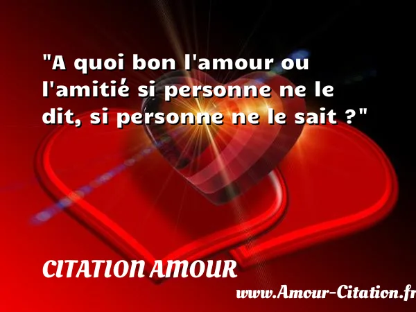 A quoi bon l amour ou l amitié si personne ne le dit, si personne ne le sait ?  CITATION AMOUR