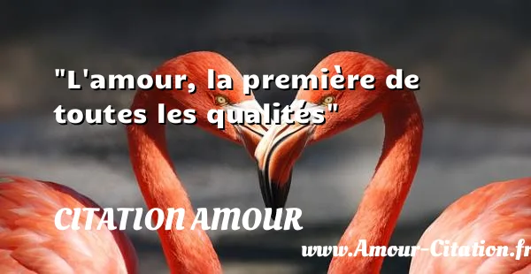 L amour, la première de toutes les qualités  CITATION AMOUR