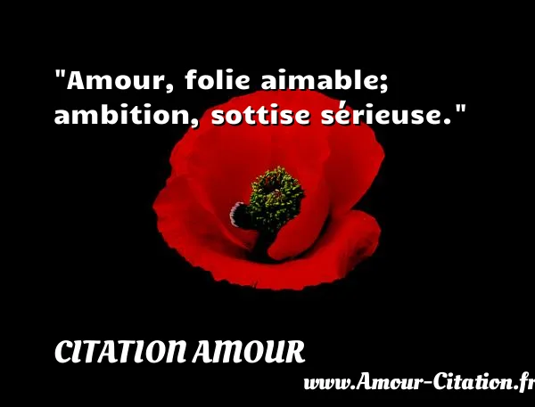 Amour, folie aimable; ambition, sottise sérieuse.  CITATION AMOUR