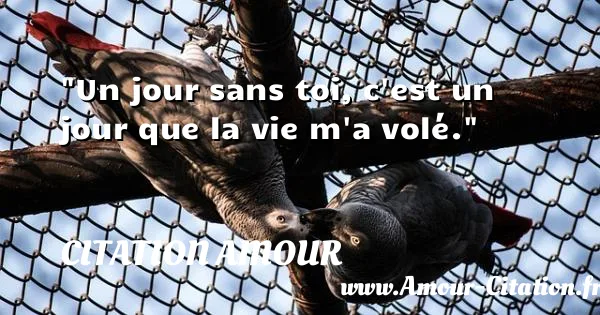 Un jour sans toi, c est un jour que la vie m a volé.  CITATION AMOUR