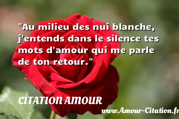 Au milieu des nui blanche, j entends dans le silence tes mots d amour qui me parle de ton retour.  CITATION AMOUR