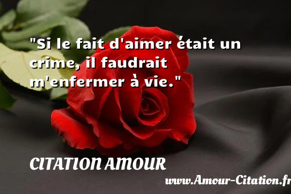 Si le fait d aimer était un crime, il faudrait m enfermer à vie.  CITATION AMOUR