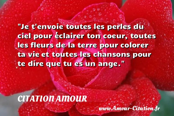 Je t envoie toutes les perles du ciel pour éclairer ton coeur, toutes les fleurs de la terre pour colorer ta vie et toutes les chansons pour te dire que tu es un ange.  CITATION AMOUR