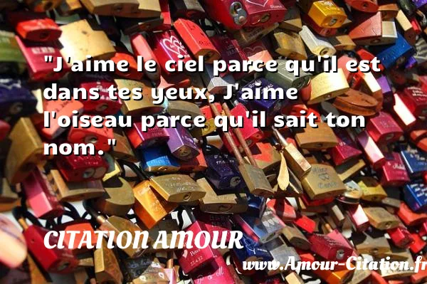 J aime le ciel parce qu il est dans tes yeux, J aime l oiseau parce qu il sait ton nom.  CITATION AMOUR