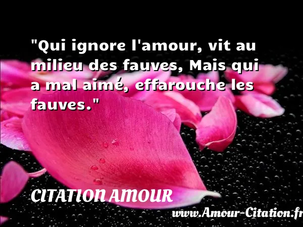 Qui ignore l amour, vit au milieu des fauves, Mais qui a mal aimé, effarouche les fauves.  CITATION AMOUR