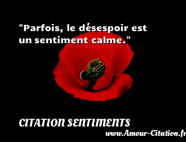 Parfois, le désespoir est un sentiment calme.  CITATION SENTIMENTS