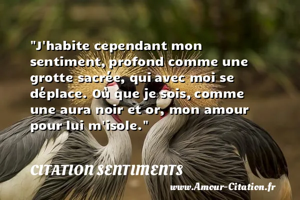 J habite cependant mon sentiment, profond comme une grotte sacrée, qui avec moi se déplace. Où que je sois, comme une aura noir et or, mon amour pour lui m isole.  CITATION SENTIMENTS