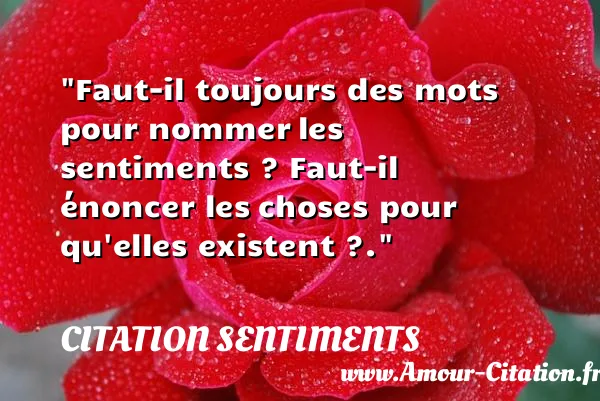 Faut-il toujours des mots pour nommer les sentiments ? Faut-il énoncer les choses pour qu elles existent ?.  CITATION SENTIMENTS