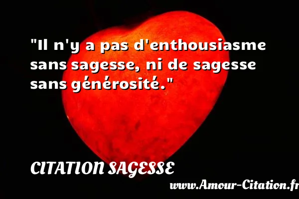Il n y a pas d enthousiasme sans sagesse, ni de sagesse sans générosité.  CITATION SAGESSE
