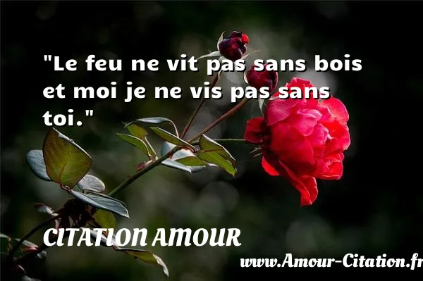 Le feu ne vit pas sans bois et moi je ne vis pas sans toi.  CITATION AMOUR