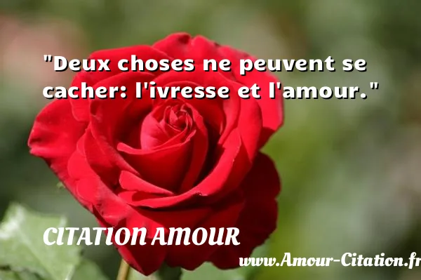 Deux choses ne peuvent se cacher: l ivresse et l amour.  CITATION AMOUR