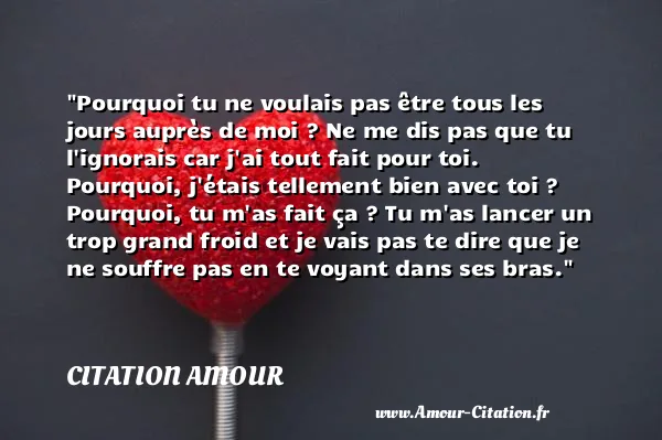 Pourquoi tu ne voulais pas être tous les jours auprès de moi ? Ne me dis pas que tu l ignorais car j ai tout fait pour toi. Pourquoi, j étais tellement bien avec toi ? Pourquoi, tu m as fait ça ? Tu m as lancer un trop grand froid et je vais pas te dire que je ne souffre pas en te voyant dans ses bras.  CITATION AMOUR