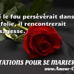  Si le fou persévérait dans sa folie, il rencontrerait la sagesse.  CITATIONS POUR SE MARIER