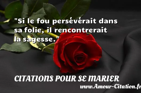 Si le fou persévérait dans sa folie, il rencontrerait la sagesse.  CITATIONS POUR SE MARIER