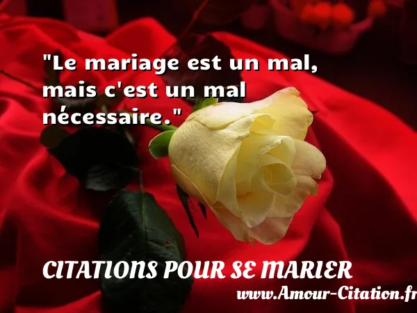 Le mariage est un mal, mais c est un mal nécessaire.  CITATIONS POUR SE MARIER