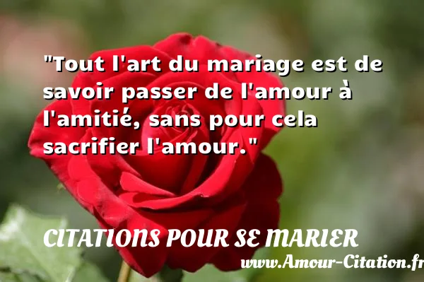 Tout l art du mariage est de savoir passer de l amour à l amitié, sans pour cela sacrifier l amour. CITATIONS POUR SE MARIER