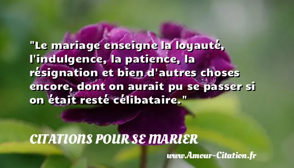 Le mariage enseigne la loyauté, l indulgence, la patience, la résignation et bien d autres choses encore, dont on aurait pu se passer si on était resté célibataire. CITATIONS POUR SE MARIER