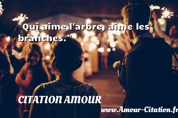 Qui aime l arbre, aime les branches.  CITATION AMOUR