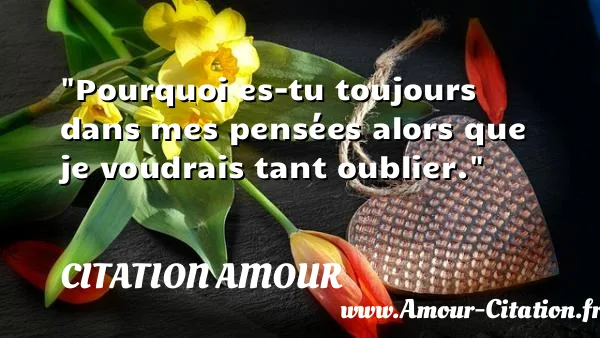 Pourquoi es-tu toujours dans mes pensées alors que je voudrais tant oublier.  CITATION AMOUR