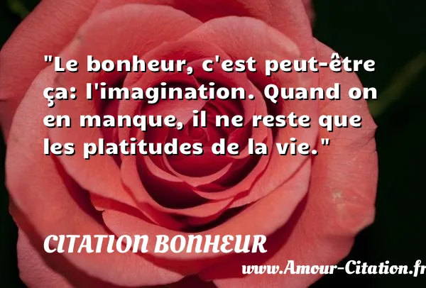 Le bonheur, c est peut-être ça: l imagination. Quand on en manque, il ne reste que les platitudes de la vie.  CITATION BONHEUR