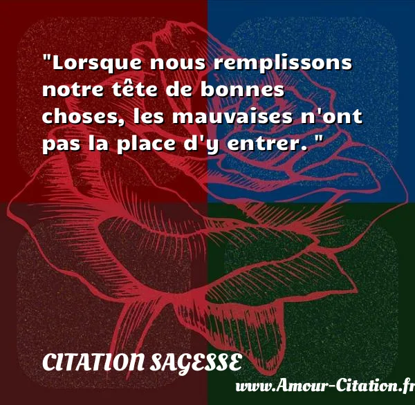 Lorsque nous remplissons notre tête de bonnes choses, les mauvaises n ont pas la place d y entrer.   CITATION SAGESSE