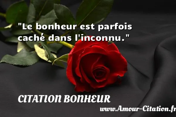 Le bonheur est parfois caché dans l inconnu. CITATION BONHEUR