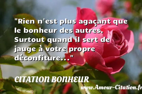 Rien n est plus agaçant que le bonheur des autres. Surtout quand il sert de jauge à votre propre déconfiture...  CITATION BONHEUR