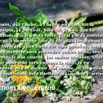  Demain, dès l aube, à l heure où blanchit la campagne, je partirai. Vois-tu, je sais que tu m attends. J irai par la forêt, j irai par la montagne. Je ne puis demeurer loin de toi plus longtemps. Je marcherai les yeux fixés sur mes pensées, sans rien voir au dehors, sans entendre aucun bruit, seul, inconnu, le dos courbé, les mains croisées, triste, et le jour pour moi sera comme la nuit. Je ne regarderai ni l or du soir qui tombe, ni les voiles au loin descendant vers Harfleur, et, quand j  arriverai, je mettrai sur ta tombe un bouquet de houx vert et de bruyère en fleur.  CITATIONS AMOUR INFINI