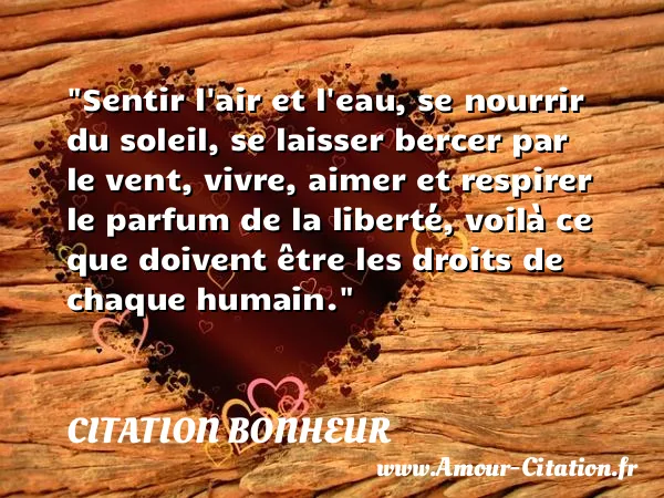Sentir l air et l eau, se nourrir du soleil, se laisser bercer par le vent, vivre, aimer et respirer le parfum de la liberté, voilà ce que doivent être les droits de chaque humain. CITATION BONHEUR