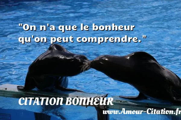 On n a que le bonheur qu on peut comprendre. CITATION BONHEUR