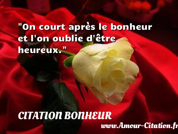 On court après le bonheur et l on oublie d être heureux.  CITATION BONHEUR
