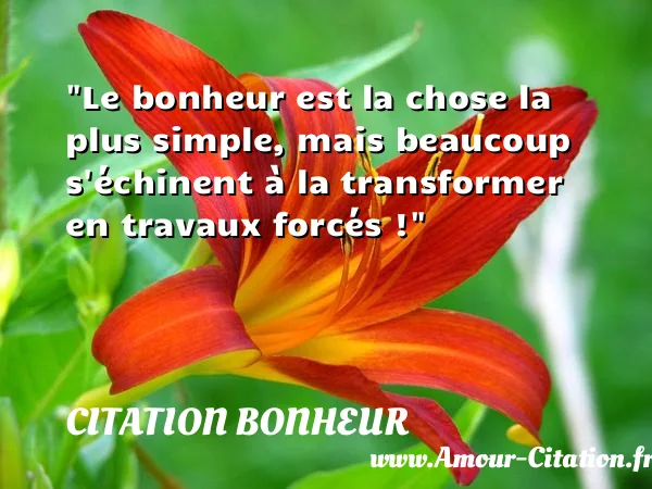 Le bonheur est la chose la plus simple, mais beaucoup s échinent à la transformer en travaux forcés !  CITATION BONHEUR