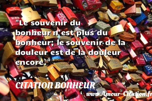 Le souvenir du bonheur n est plus du bonheur; le souvenir de la douleur est de la douleur encore.  CITATION BONHEUR
