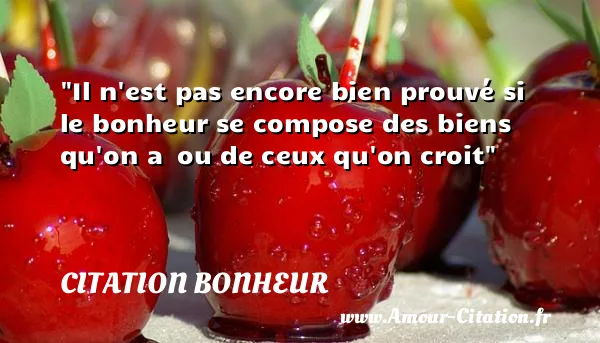 Il n est pas encore bien prouvé si le bonheur se compose des biens qu on a  ou de ceux qu on croit  CITATION BONHEUR
