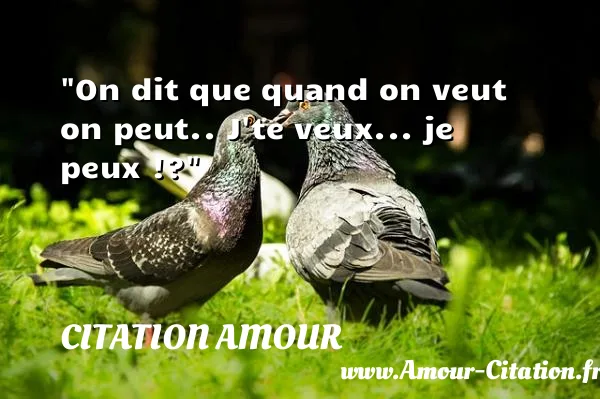 On dit que quand on veut on peut.. J te veux... je peux !?  CITATION AMOUR