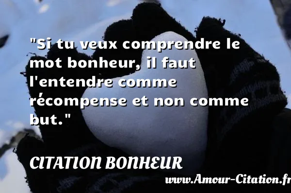 Si tu veux comprendre le mot bonheur, il faut l entendre comme récompense et non comme but. CITATION BONHEUR