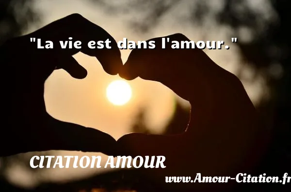 La vie est dans l amour.  CITATION AMOUR