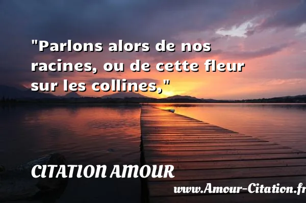 Parlons alors de nos racines, ou de cette fleur sur les collines,  CITATION AMOUR