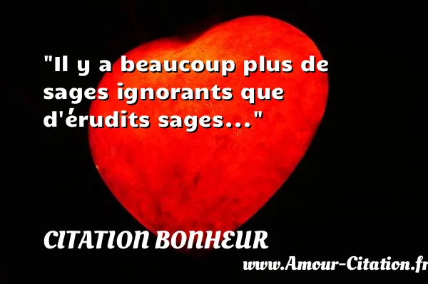 Il y a beaucoup plus de sages ignorants que d érudits sages...  CITATION BONHEUR