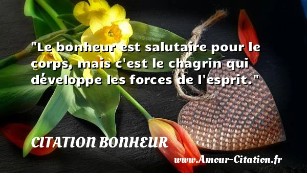 Le bonheur est salutaire pour le corps, mais c est le chagrin qui développe les forces de l esprit.  CITATION BONHEUR