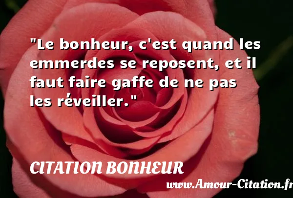 Le bonheur, c est quand les emmerdes se reposent, et il faut faire gaffe de ne pas les réveiller.  CITATION BONHEUR
