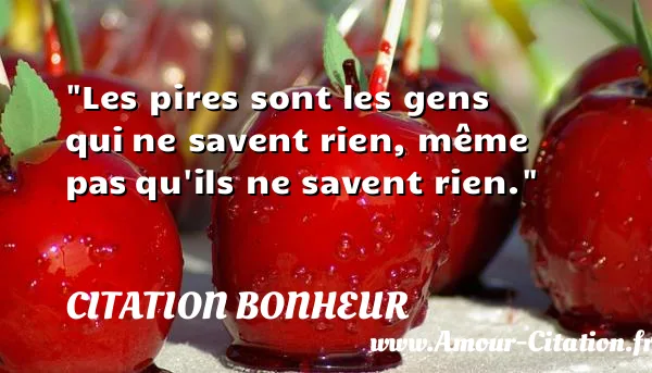 Les pires sont les gens qui ne savent rien, même pas qu ils ne savent rien.  CITATION BONHEUR
