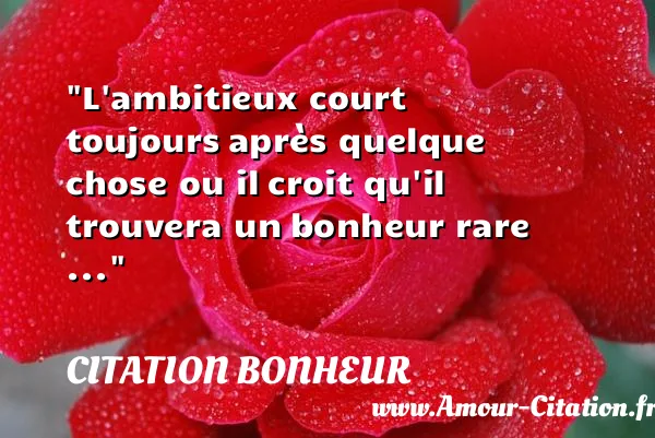 L ambitieux court toujours après quelque chose ou il croit qu il trouvera un bonheur rare ... CITATION BONHEUR
