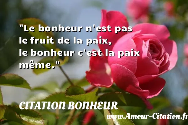 Le bonheur n est pas le fruit de la paix, le bonheur c est la paix même. CITATION BONHEUR
