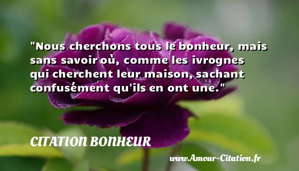 Nous cherchons tous le bonheur, mais sans savoir où, comme les ivrognes qui cherchent leur maison, sachant confusément qu ils en ont une.  CITATION BONHEUR