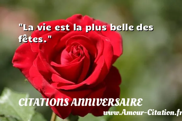 La vie est la plus belle des fêtes.  CITATIONS ANNIVERSAIRE