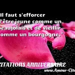 Il faut s'efforcer d'être Il faut s efforcer d être jeune comme un beaujolais et de vieillir comme un bourgogne. CITATIONS ANNIVERSAIRE