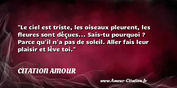 Le ciel est triste, les oiseaux pleurent, les fleures sont déçues... Sais-tu pourquoi ? Parce qu il n a pas de soleil. Aller fais leur plaisir et lève toi.  CITATION AMOUR
