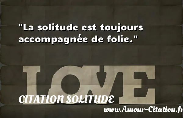 La solitude est toujours accompagnée de folie.  CITATION SOLITUDE