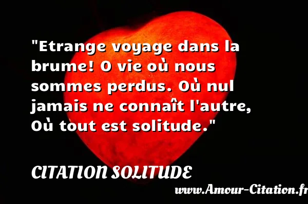 Etrange voyage dans la brume! O vie où nous sommes perdus. Où nul jamais ne connaît l autre, Où tout est solitude.  CITATION SOLITUDE